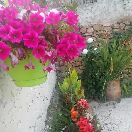 Lysa * La Garde (Var)