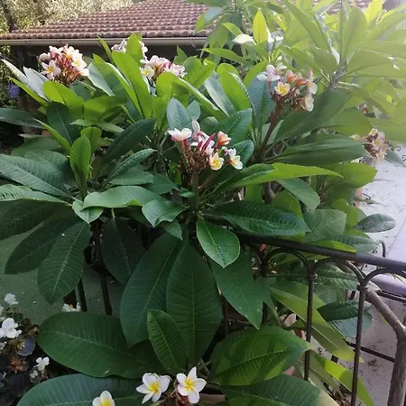 Lysa Apartmán La Garde (Var)