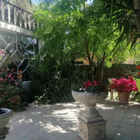 Lysa * La Garde (Var)