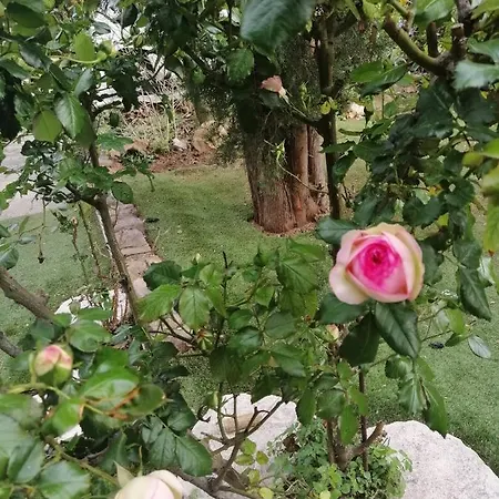 Apartament Lysa