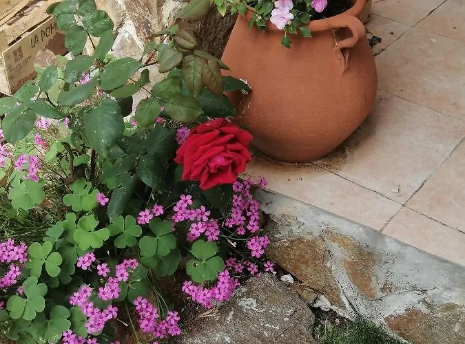 Lysa La Garde (Var)