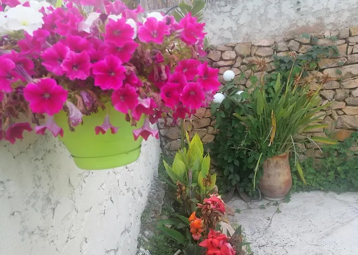 Lysa * La Garde (Var)